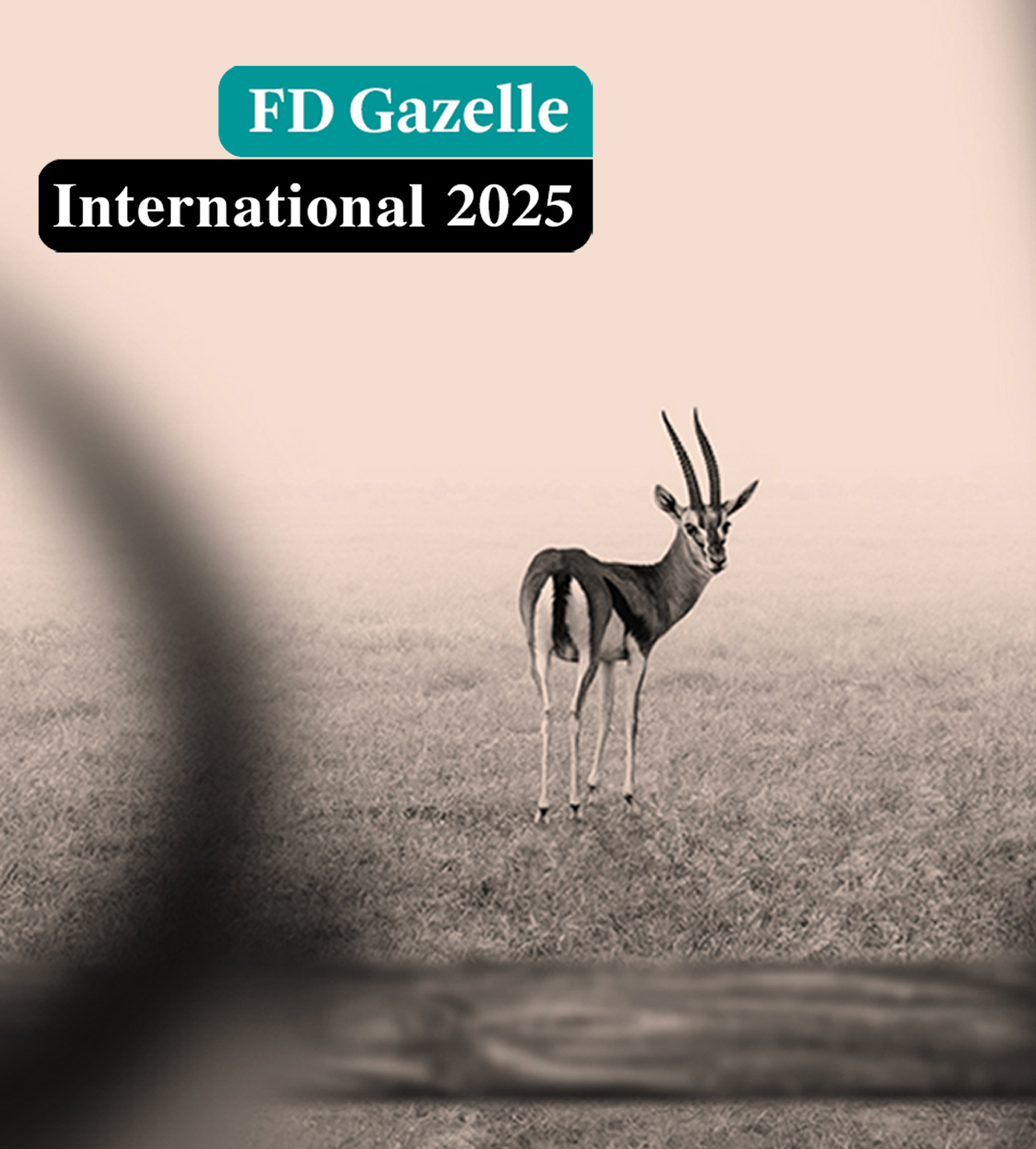 Global Mounts Group vince il premio FD Gazelle 2024